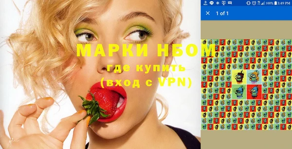 прущие грибы Абаза