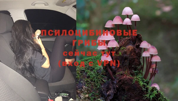 спиды Абдулино