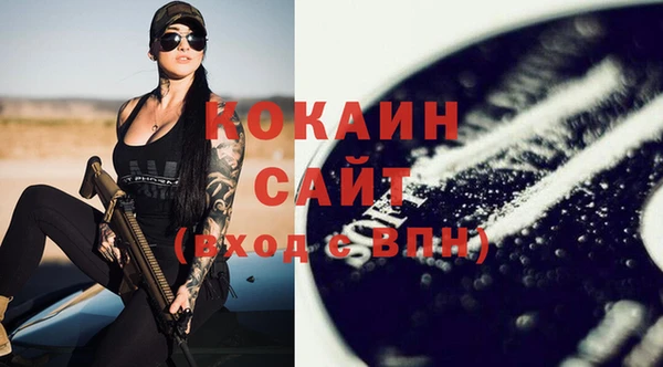 прущие грибы Абаза