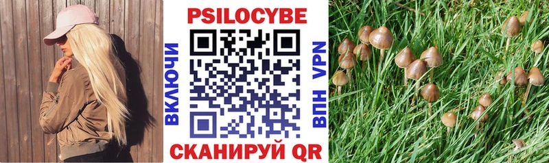 Галлюциногенные грибы Magic Shrooms Стрежевой