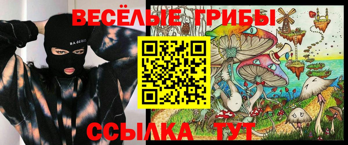 Стрежевой  Псилоцибиновые грибы Cubensis  Вход с VPN 